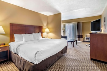 Suite, 1 King Bed with Sofa bed, Non Smoking