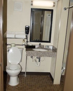 Room, 1 King Bed, Accessible, Non Smoking