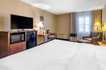 Standard Room, 1 King Bed, Non Smoking