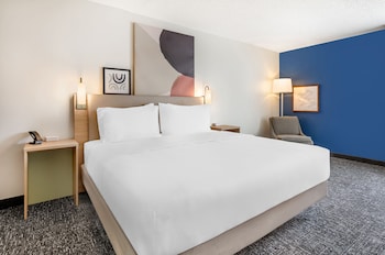 Room, 1 King Bed, Accessible (Mobility & Hearing, Roll-in Shower)