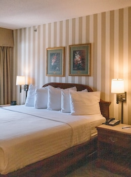 Suite- Bay View – 1 King