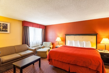 Standard Room, 1 King Bed, Non Smoking