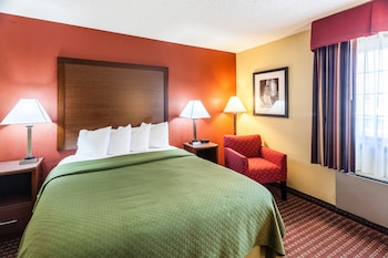 Standard Room, 1 King Bed, Non Smoking