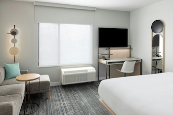Standard Studio Suite, 1 King Bed (Mobility Accessible, Roll-in Shower)