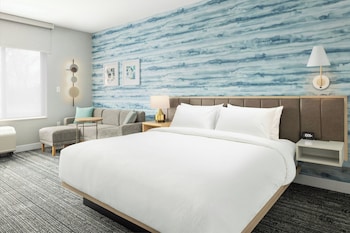 Standard Studio Suite, 1 King Bed (Mobility Accessible, Roll-in Shower)