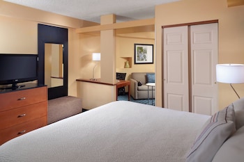 Studio, 1 King Bed with Sofa bed