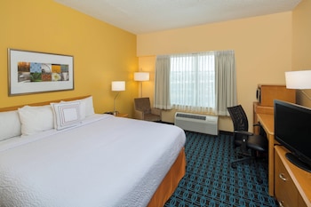 Room, 1 King Bed