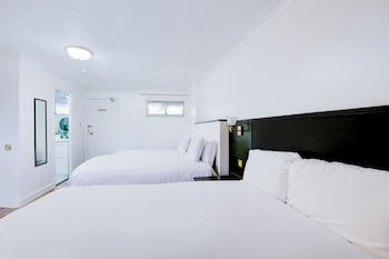 Family Room, Multiple Beds