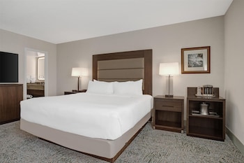 1 King Bed Oversized Room W/pullout Sofa