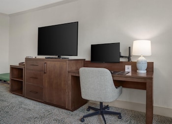Room, 1 King Bed