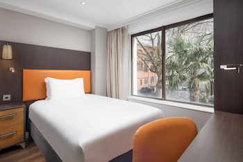 Room, 1 Twin Bed
