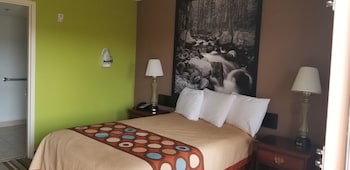 Room, 1 Double Bed, Accessible, Smoking (Mobility)