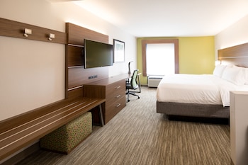 Suite, 1 King Bed with Sofa bed