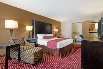Standard Room, 1 King Bed, Accessible, Refrigerator & Microwave (Walk-in Shower)