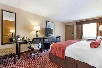 Standard Room, 1 King Bed, Accessible, Refrigerator & Microwave (Walk-in Shower)