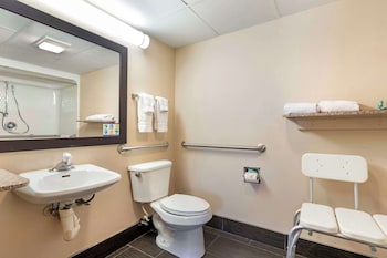 Standard Room, 1 King Bed, Accessible, Refrigerator & Microwave (Walk-in Shower)