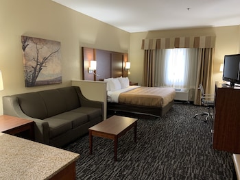 Room, 1 King Bed with Sofa bed, Non Smoking