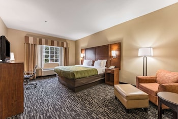 Room, 1 King Bed, Non Smoking