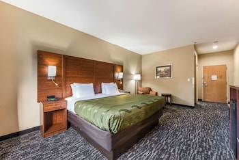 Room, 1 King Bed, Non Smoking
