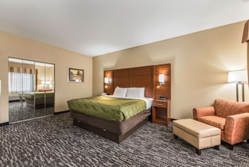 Room, 1 King Bed with Sofa bed, Non Smoking