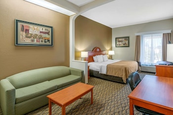 Suite, 1 King Bed with Sofa bed, Non Smoking