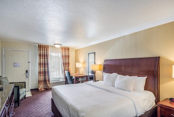 Standard Room, 1 King Bed, Non Smoking