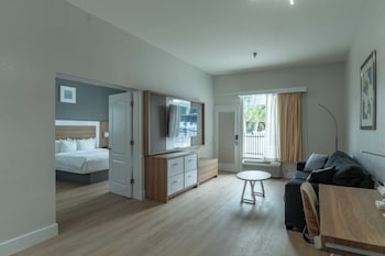 Suite, 1 King Bed with Sofa bed, Accessible, Non Smoking