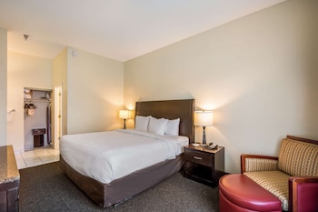 Suite, 1 King Bed with Sofa bed, Non Smoking (Interior Corridor)