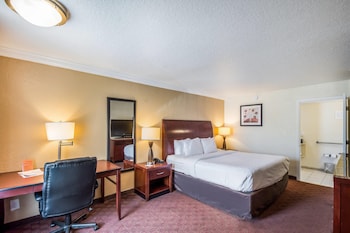 Standard Room, 1 King Bed, Non Smoking