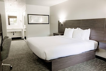 Room, 1 King Bed, Accessible, Non Smoking
