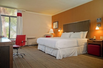 Suite, 1 Bedroom, Non Smoking