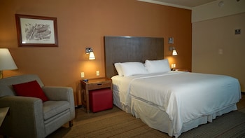 Traditional Room, 1 King Bed