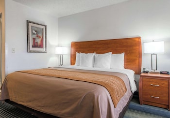 Room, 1 King Bed, Accessible, Non Smoking