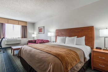 Standard Room, 1 King Bed with Sofa bed, Non Smoking