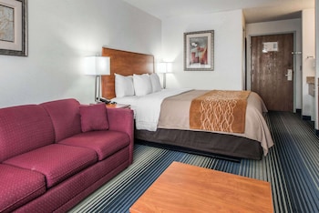 Standard Room, 1 King Bed with Sofa bed, Non Smoking