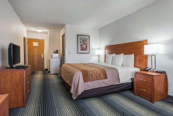 Room, 1 King Bed, Accessible, Non Smoking