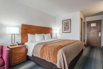 Standard Room, 1 King Bed with Sofa bed, Non Smoking