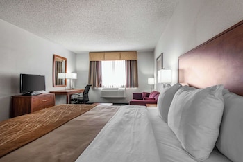 Standard Room, 1 King Bed with Sofa bed, Non Smoking