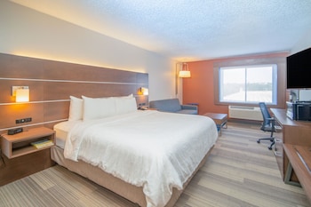 Standard Room, 1 King Bed, Mobility Accessible (Roll-In Shower)