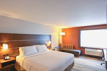 Standard Room, 1 King Bed with Sofa bed