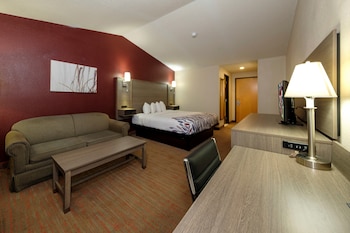 Superior Room, 1 King Bed, Accessible, Non Smoking (Roll-In Shower)