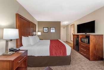 Room, 1 King Bed, Accessible, Non Smoking