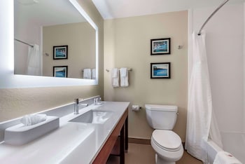 Suite, 1 King Bed with Sofa bed, Non Smoking
