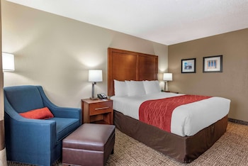 Room, 1 King Bed, Accessible, Non Smoking