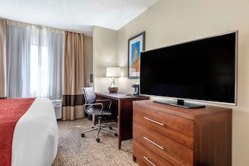 Suite, 1 King Bed with Sofa bed, Non Smoking