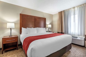 Suite, 1 King Bed with Sofa bed, Non Smoking