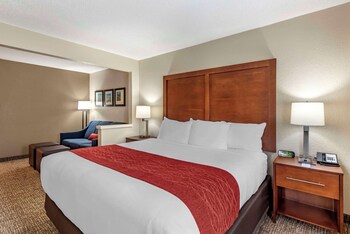 Suite, 1 King Bed with Sofa bed, Non Smoking