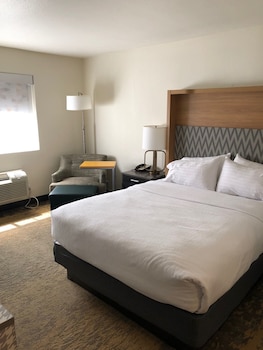 Standard Room, 1 Double Bed, Accessible Bathtub (Mobility)