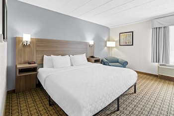 Room, 1 King Bed, Accessible, Non Smoking