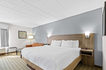Standard Room, 1 King Bed, Non Smoking